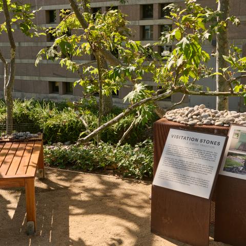 stones lay on top of a plinth next to a wood bench