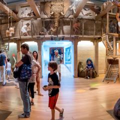 Children climbing on ropes in the interior of Noah's ark