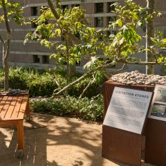 stones lay on top of a plinth next to a wood bench